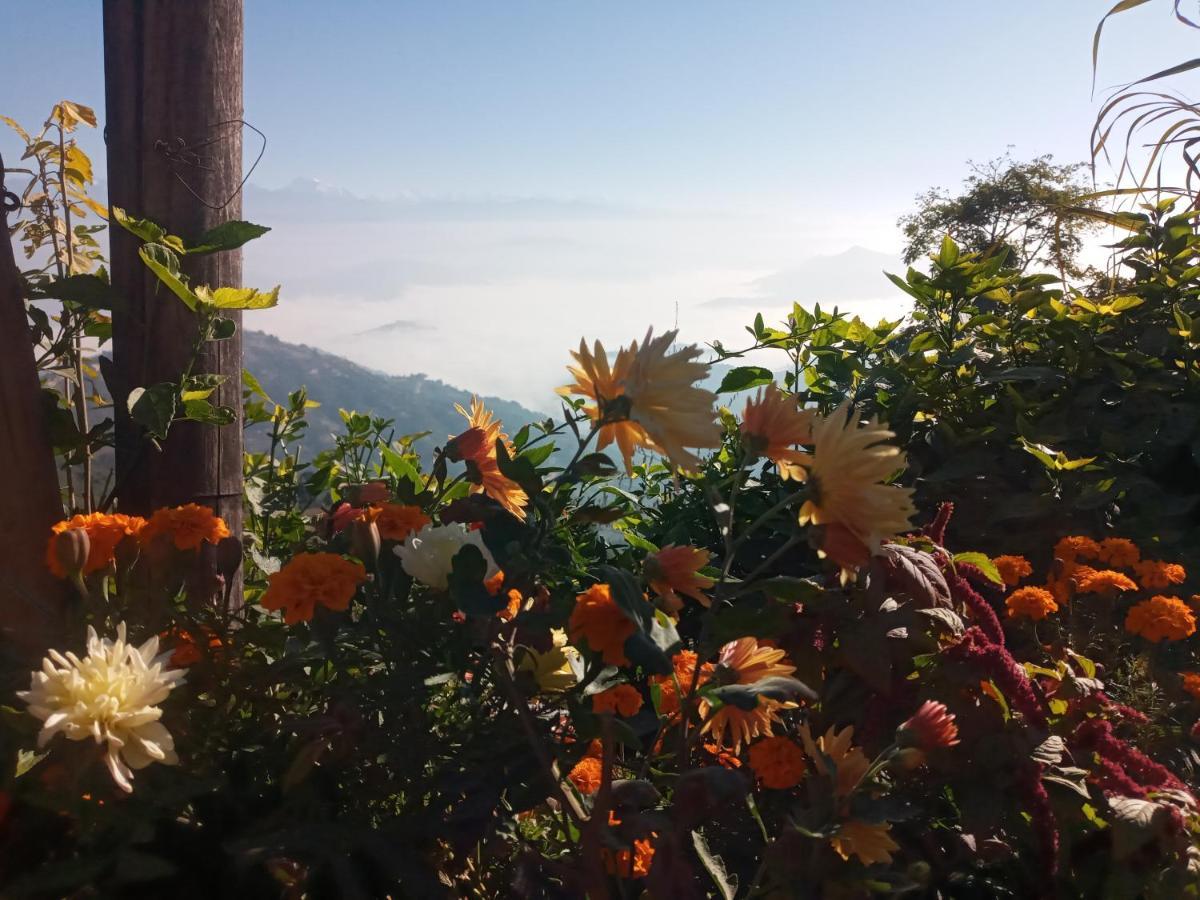 Unique Point Home Stay Nagarkot Bagian luar foto