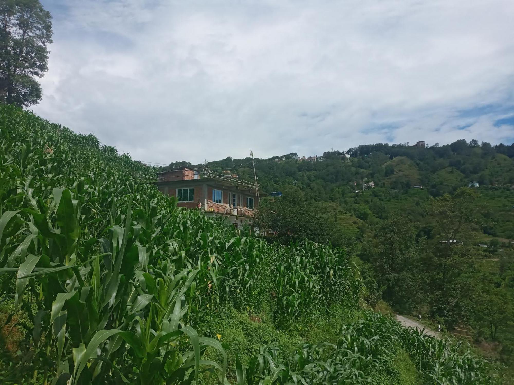 Unique Point Home Stay Nagarkot Bagian luar foto