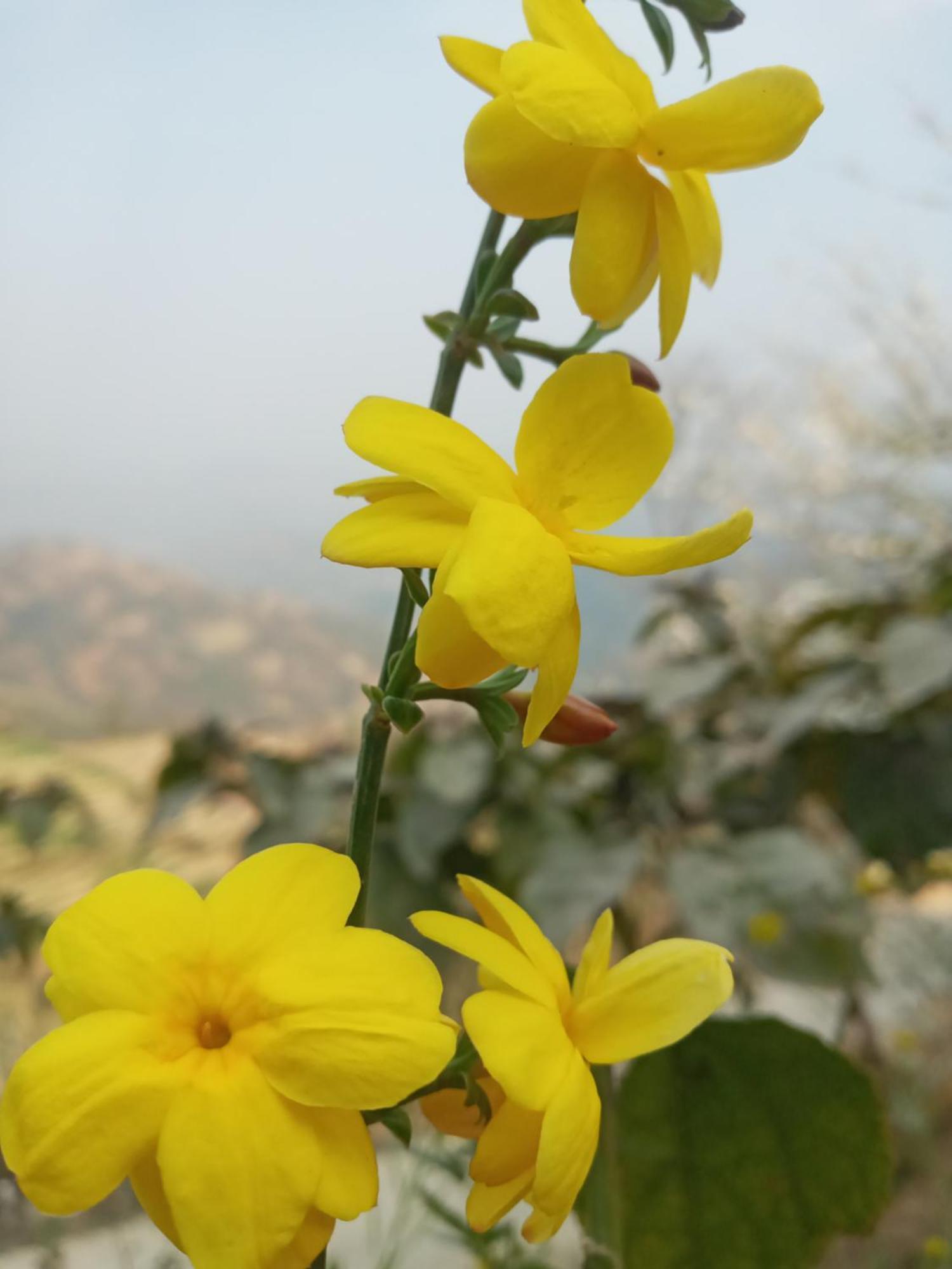 Unique Point Home Stay Nagarkot Bagian luar foto
