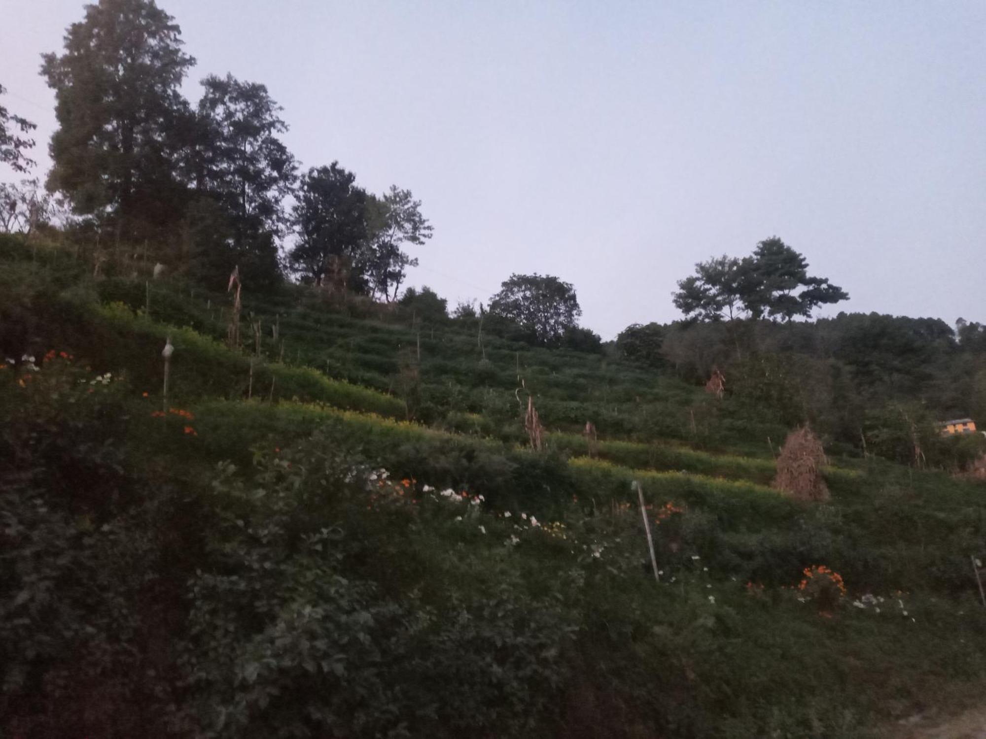 Unique Point Home Stay Nagarkot Bagian luar foto